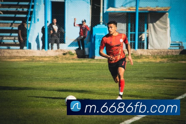 6686体育平台生态图