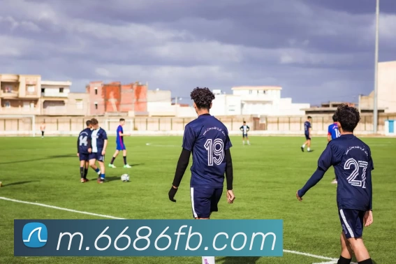 6686体育APP 封面图